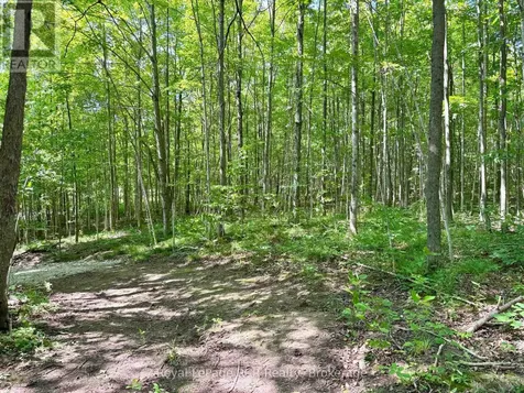 Pt Lt 6 Bruce Road 9 Road Northern Bruce Peninsula ON N0H 1W0