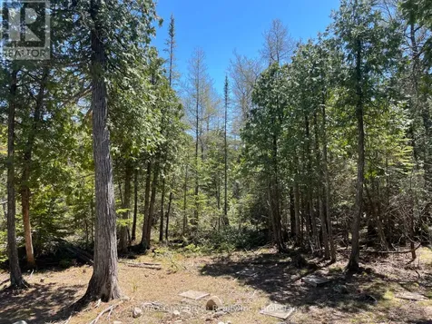1035 Dorcas Bay Road Northern Bruce Peninsula ON N0H 2R0