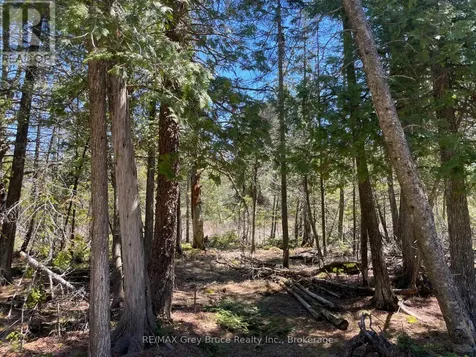 1035 Dorcas Bay Road Northern Bruce Peninsula ON N0H 2R0