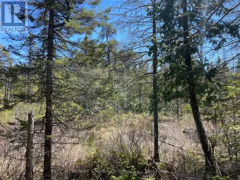 1035 Dorcas Bay Road Northern Bruce Peninsula ON N0H 2R0