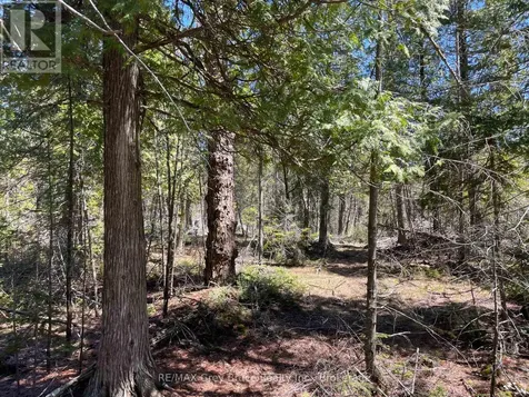 1035 Dorcas Bay Road Northern Bruce Peninsula ON N0H 2R0