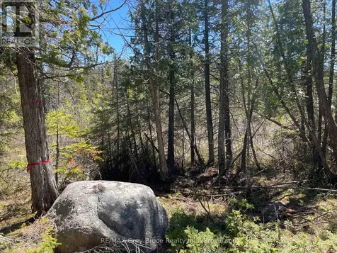 1035 Dorcas Bay Road Northern Bruce Peninsula ON N0H 2R0