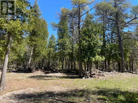 1035 Dorcas Bay Road Northern Bruce Peninsula ON N0H 2R0
