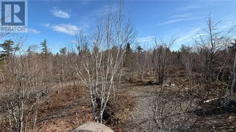 1537 Highway 537 Wahnapitae ON P0M 3C0