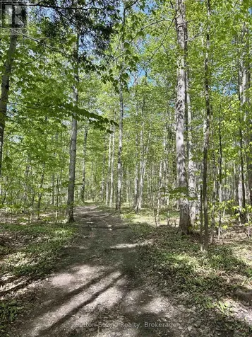 Lot 24 Concession 14 Keppel Corners Georgian Bluffs ON N0H 2K0