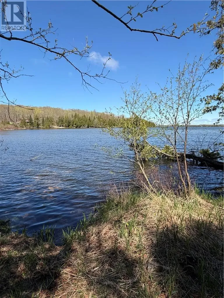 974 Ice Lake Drive Gore Bay ON P0P 1H0