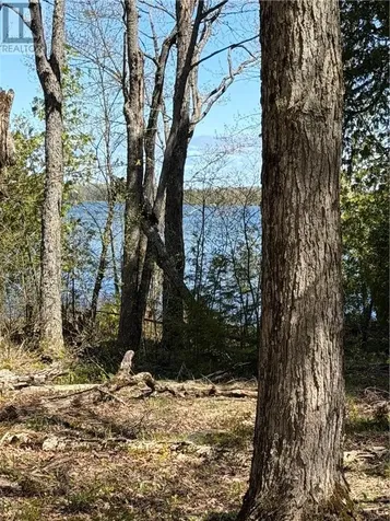 974 Ice Lake Drive Gore Bay ON P0P 1H0