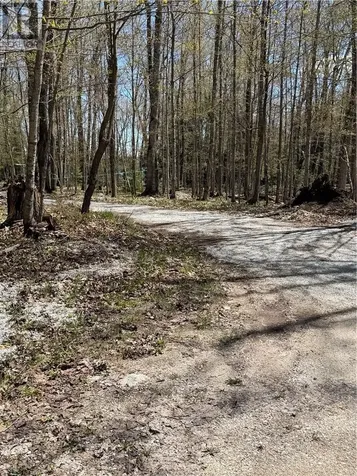 974 Ice Lake Drive Gore Bay ON P0P 1H0