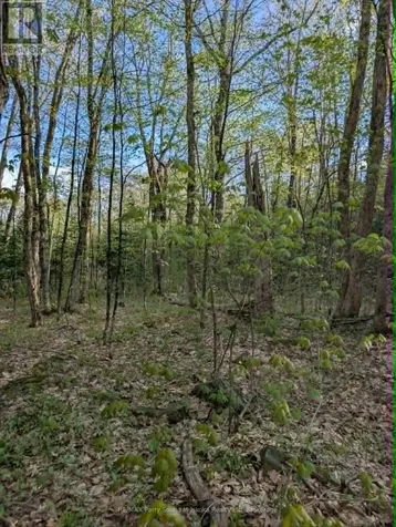 0 Sugar Lake Road Seguin ON P2A 2W9