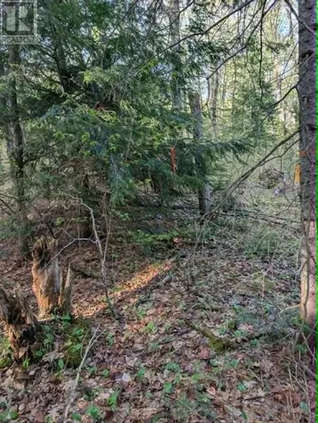 0 Sugar Lake Road Seguin ON P2A 2W9