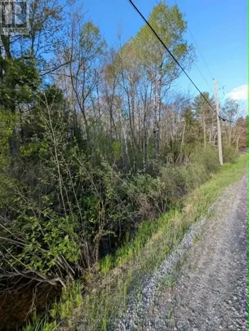 0 Sugar Lake Road Seguin ON P2A 2W9