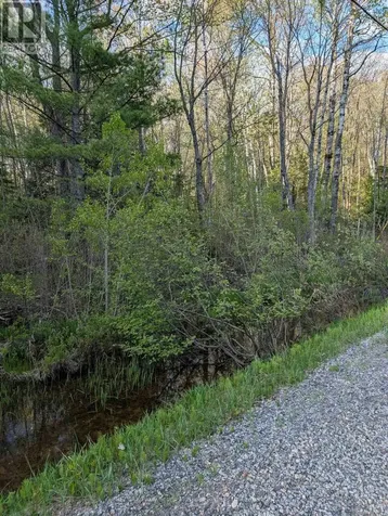 0 Sugar Lake Road Seguin ON P2A 2W9