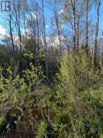 0 Sugar Lake Road Seguin ON P2A 2W9