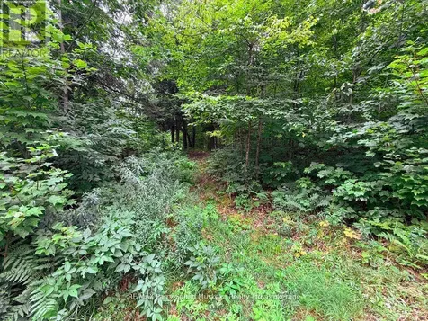 335 Centre Road Mckellar ON P2A 0B4