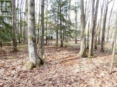Lot 577 Forest Circle Tiny ON L9M 1R3