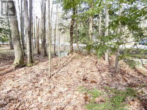 Lot 577 Forest Circle Tiny ON L9M 1R3