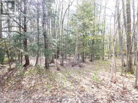 Lot 577 Forest Circle Tiny ON L9M 1R3
