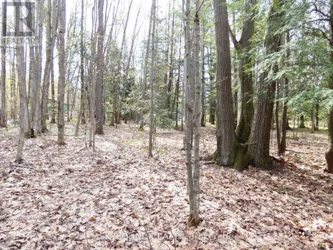 Lot 577 Forest Circle Tiny ON L9M 1R3
