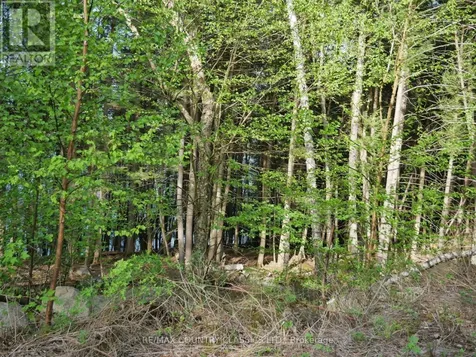 Lot #2 Yakabuskie Road Madawaska Valley ON K0J 1B0