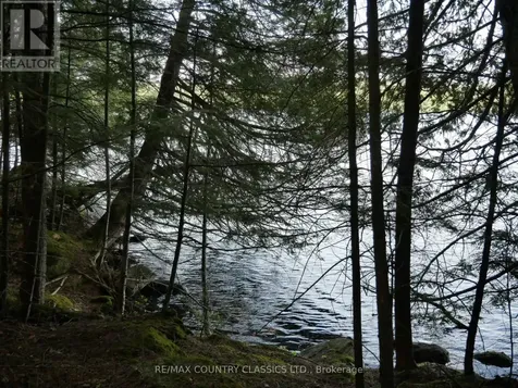 Lot #2 Yakabuskie Road Madawaska Valley ON K0J 1B0