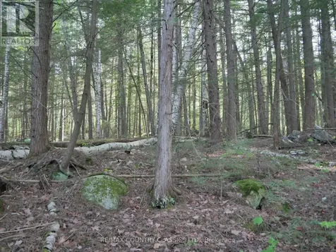 Lot #2 Yakabuskie Road Madawaska Valley ON K0J 1B0