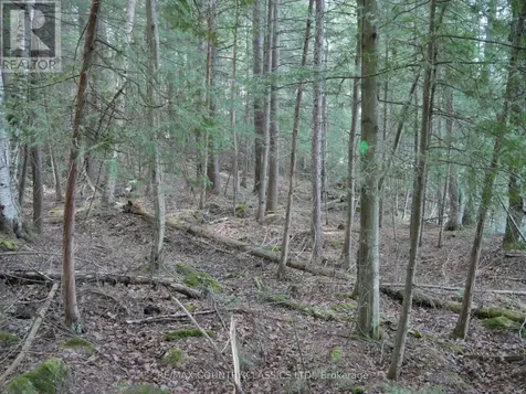 Lot #2 Yakabuskie Road Madawaska Valley ON K0J 1B0