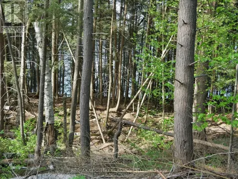 Lot #2 Yakabuskie Road Madawaska Valley ON K0J 1B0