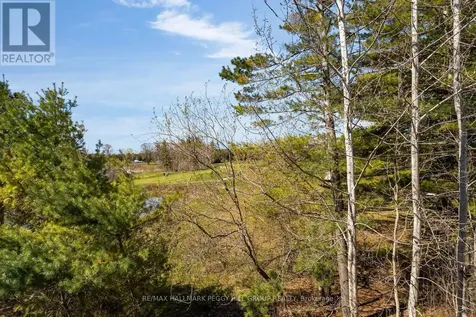 60 Mulligan Lane Wasaga Beach ON L9Z 0C5