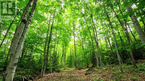Part 1 Tammy's Cove Road Northern Bruce Peninsula ON N0H 1Z0