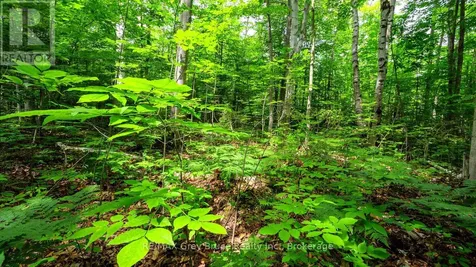 Part 1 Tammy's Cove Road Northern Bruce Peninsula ON N0H 1Z0