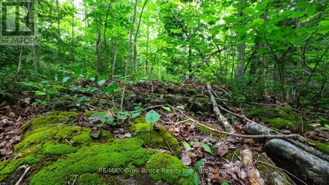Part 1 Tammy's Cove Road Northern Bruce Peninsula ON N0H 1Z0