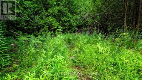 Part 1 Tammy's Cove Road Northern Bruce Peninsula ON N0H 1Z0