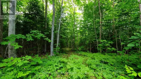 Part 1 Tammy's Cove Road Northern Bruce Peninsula ON N0H 1Z0