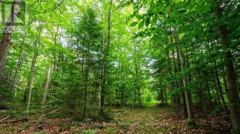 Part 1 Tammy's Cove Road Northern Bruce Peninsula ON N0H 1Z0