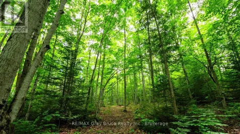 Part 1 Tammy's Cove Road Northern Bruce Peninsula ON N0H 1Z0