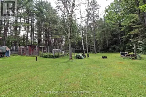 18120 Highway 41 Addington Highlands ON K0H 1K0