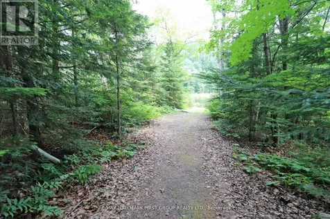 18120 Highway 41 Addington Highlands ON K0H 1K0