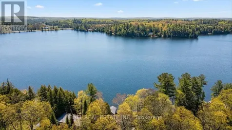 205 Moffat Road North Kawartha ON K0L 1A0