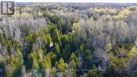 Pt Lt 21 Highway 6 Northern Bruce Peninsula ON N0H 1Z0