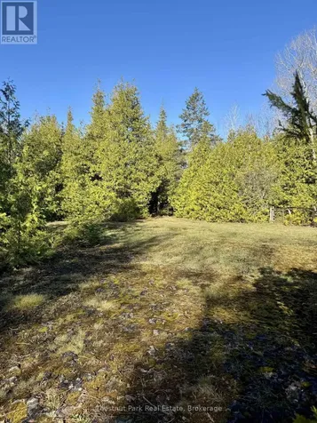 Pt Lt 21 Highway 6 Northern Bruce Peninsula ON N0H 1Z0