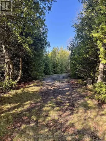 Pt Lt 21 Highway 6 Northern Bruce Peninsula ON N0H 1Z0