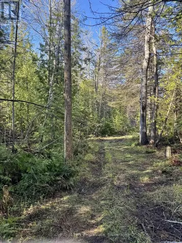 Pt Lt 21 Highway 6 Northern Bruce Peninsula ON N0H 1Z0