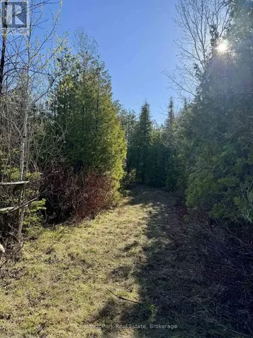 Pt Lt 21 Highway 6 Northern Bruce Peninsula ON N0H 1Z0