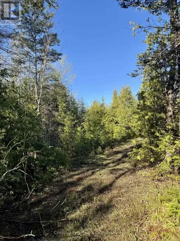 Pt Lt 21 Highway 6 Northern Bruce Peninsula ON N0H 1Z0