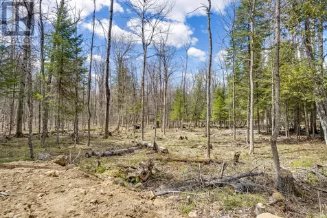621 North Shore Rd Road Lanark Highlands ON K0G 1M0