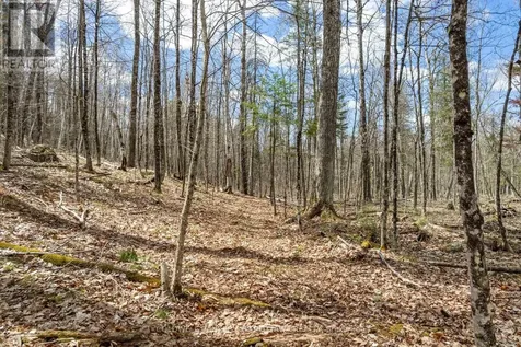 621 North Shore Rd Road Lanark Highlands ON K0G 1M0