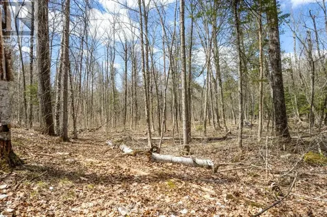 621 North Shore Rd Road Lanark Highlands ON K0G 1M0