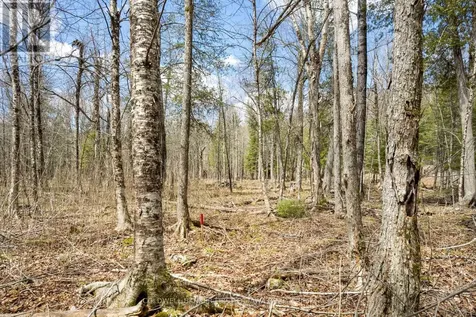 621 North Shore Rd Road Lanark Highlands ON K0G 1M0