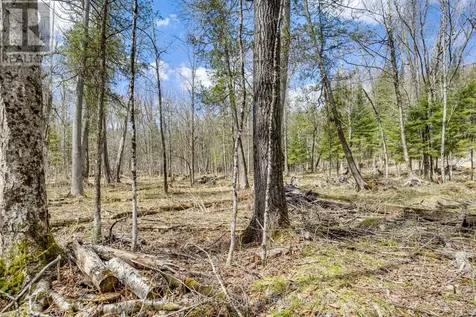621 North Shore Rd Road Lanark Highlands ON K0G 1M0