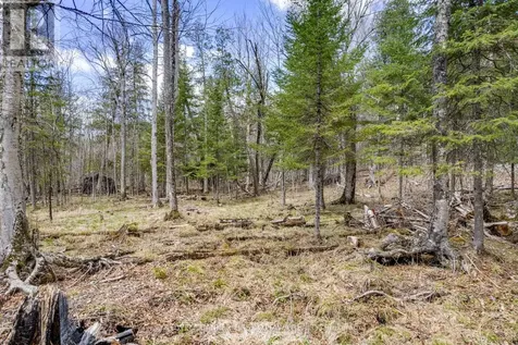 621 North Shore Rd Road Lanark Highlands ON K0G 1M0